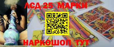 прущие грибы Комсомольск-на-Амуре