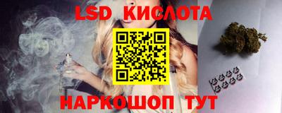 прущие грибы Комсомольск-на-Амуре