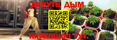 гашик Краснознаменск
