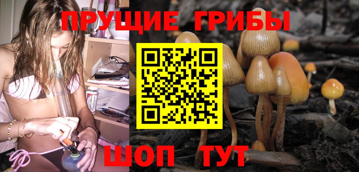 Псилоцибиновые грибы прущие грибы  наркотики  Псилоцибиновые грибы ЛСД  Куйбышев  Вход с VPN 