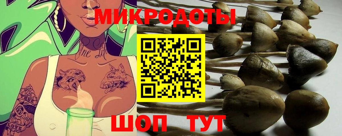 Псилоцибиновые грибы мухоморы Куйбышев