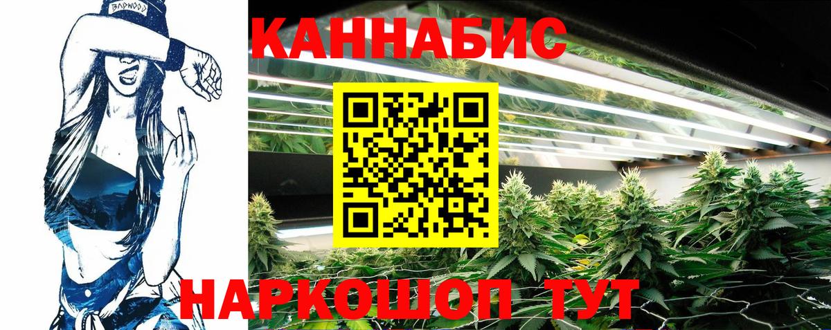 Конопля Bruce Banner  Вход с VPN  Канабис конопля  Каннабис THC 21%  Куйбышев  Марихуана планчик 
